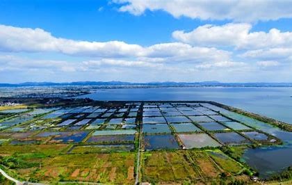 水产养殖农场